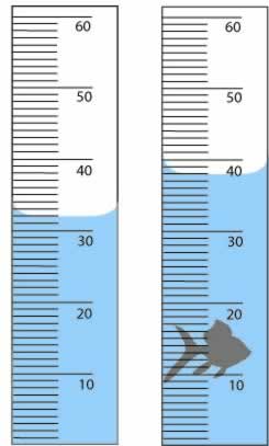 water displacement worksheet